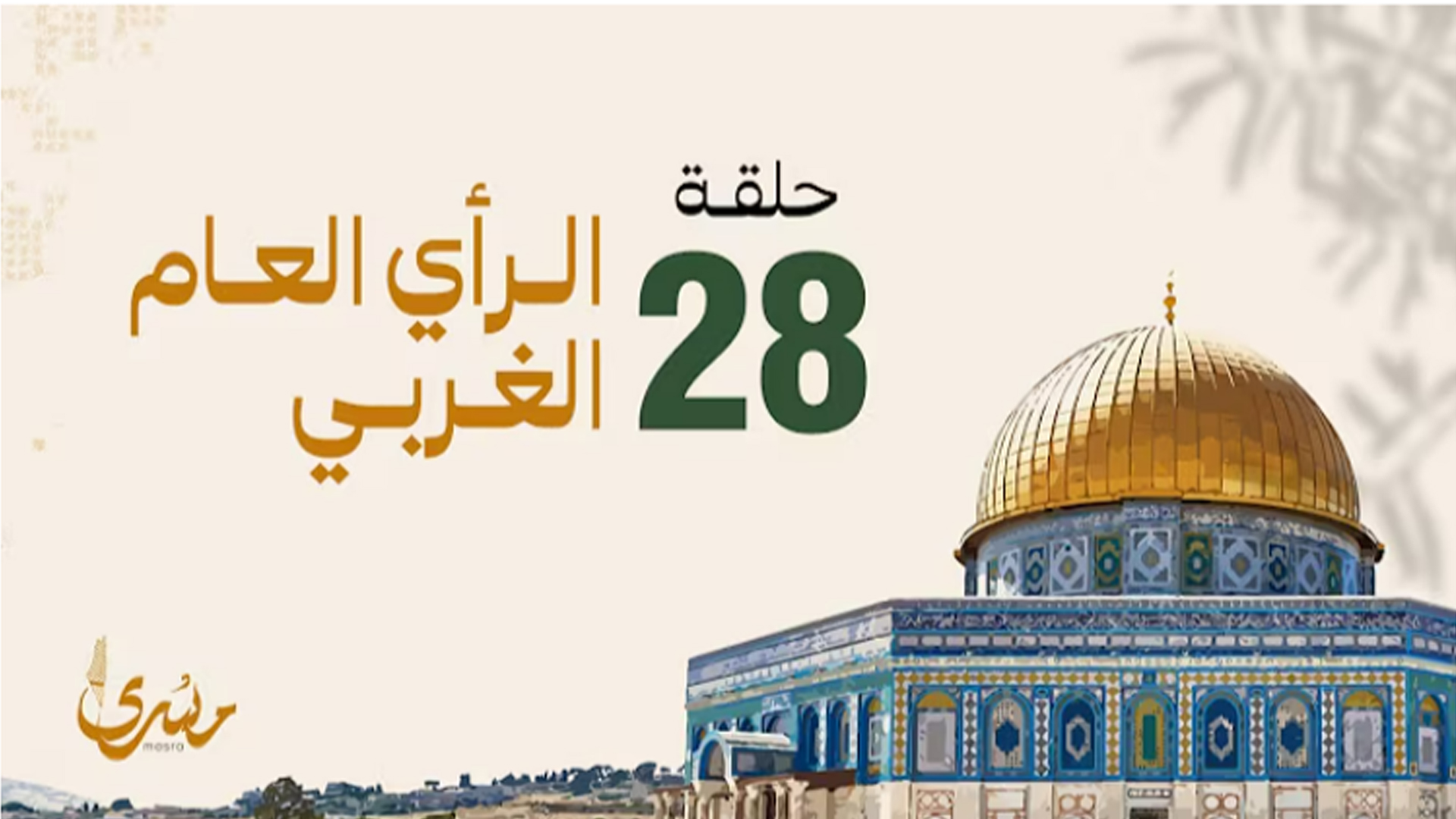 الرأي العام الغربي